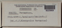 Image Associated With the Occurence